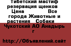 Тибетский мастиф резервация щенков › Цена ­ 100 000 - Все города Животные и растения » Собаки   . Чукотский АО,Анадырь г.